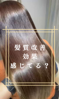 スクリーンショット 2025-05-21 121705