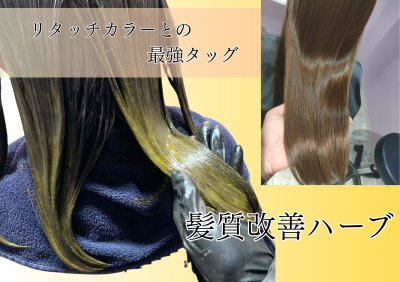 見出し (5)