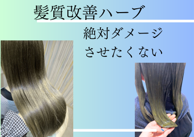 髪質改善ハーブのコピー (1)