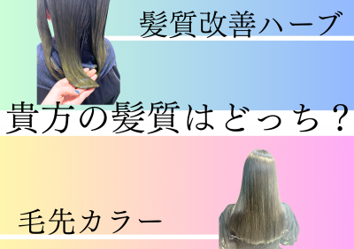 髪質改善ハーブ