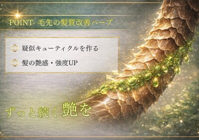 line_oa_chat_260418_164936_group_5